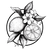 information image