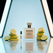DANIEL - NAPOLEON Fragrances