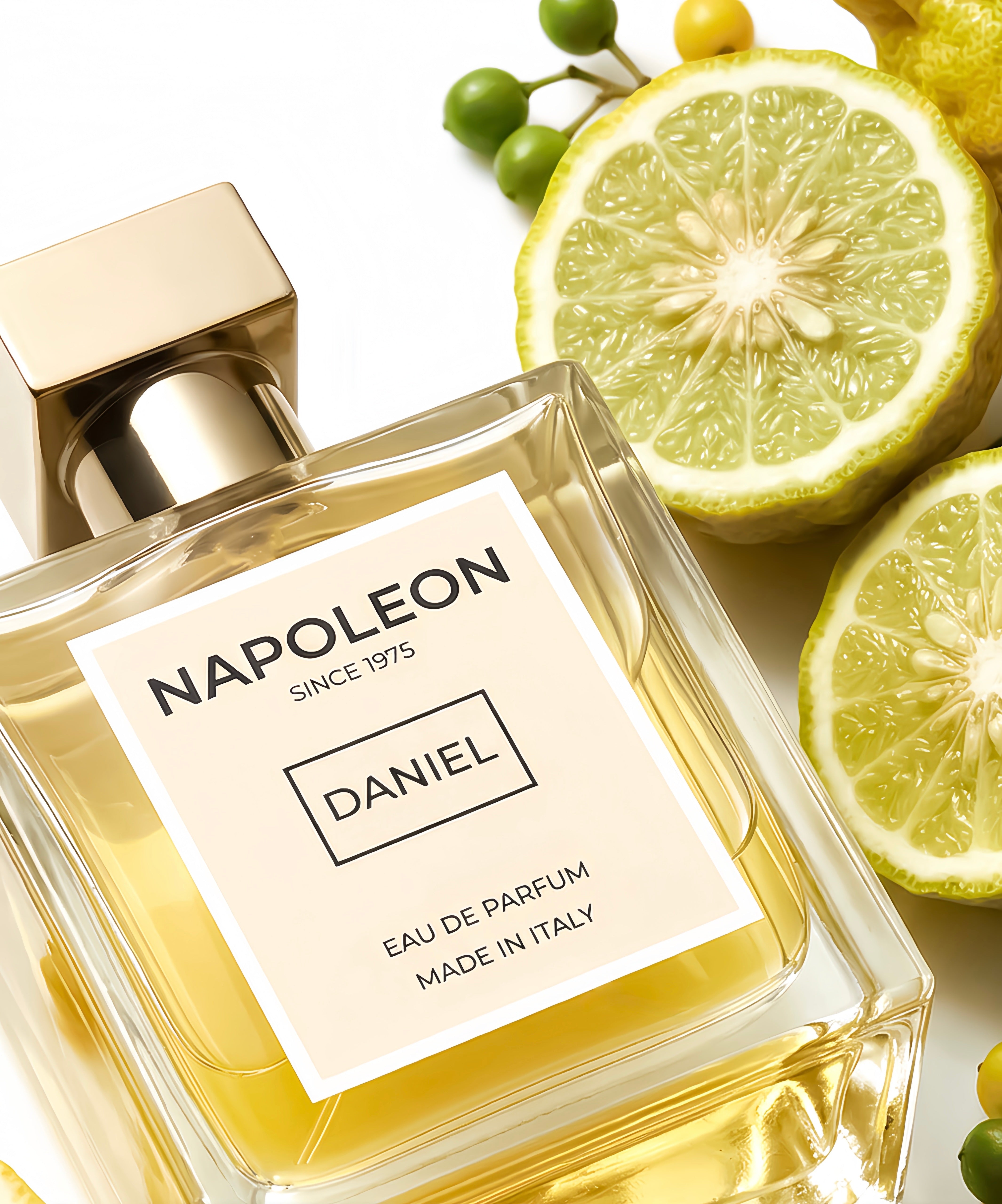 DANIEL – NAPOLEON Fragrances